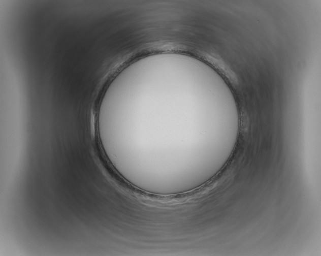 X0000112390014200908131353