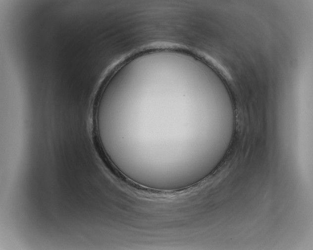 X0000112390015200908131353