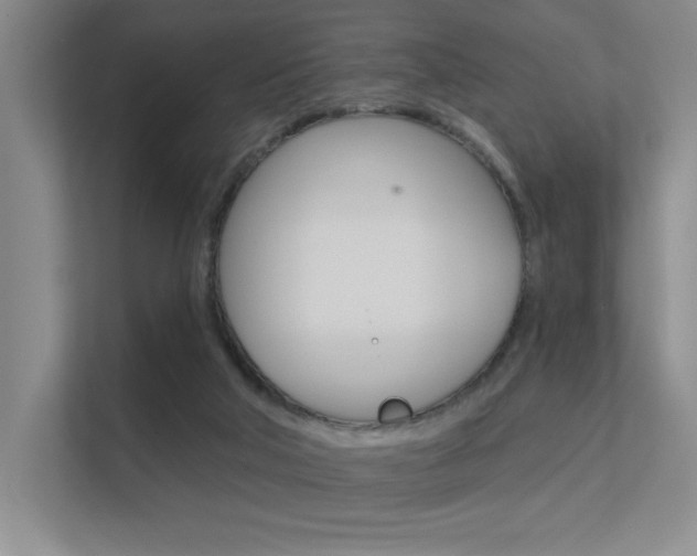 X0000112390018200908131353