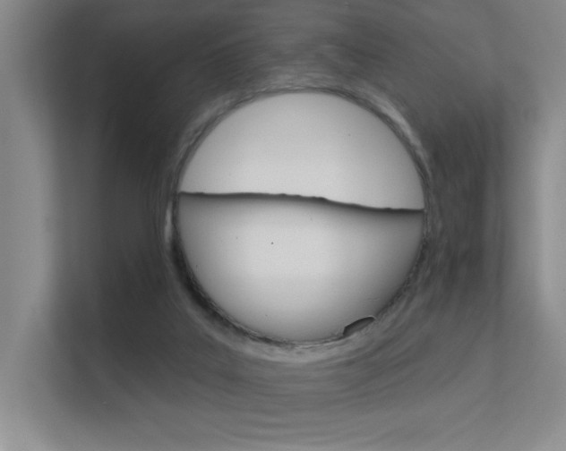 X0000112390019200908131353