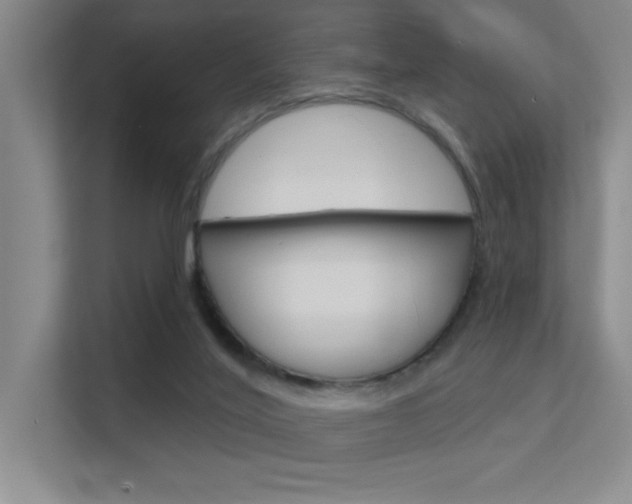 X0000112390020200908131353