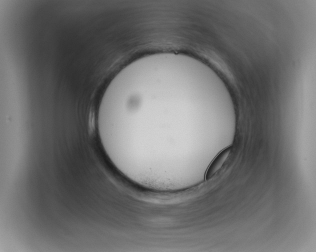 X0000112390021200908131353