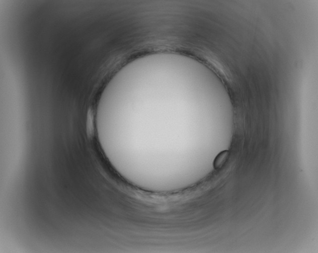 X0000112390022200908131353