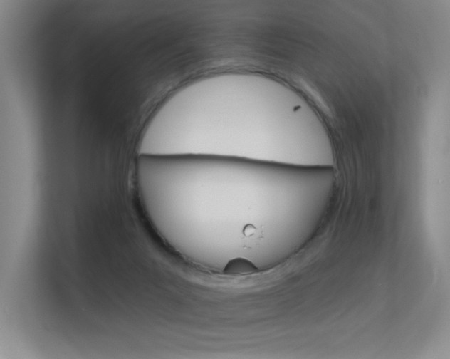 X0000112390023200908131353