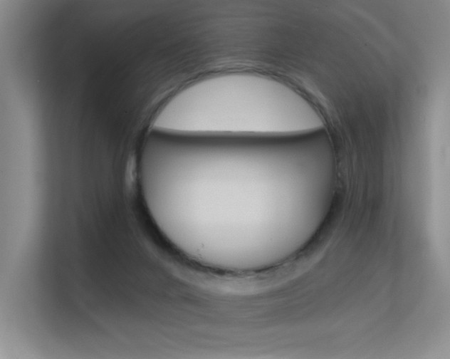 X0000112390024200908131353