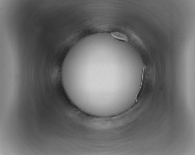 X0000112390029200908131353