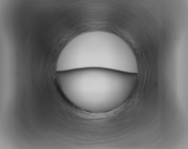 X0000112390031200908131353