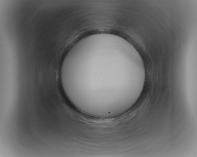 X0000112390032200908131353