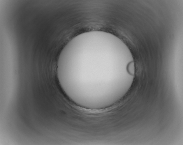 X0000112390034200908131353