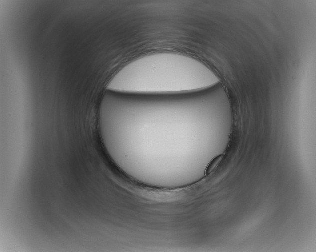 X0000112390036200908131353