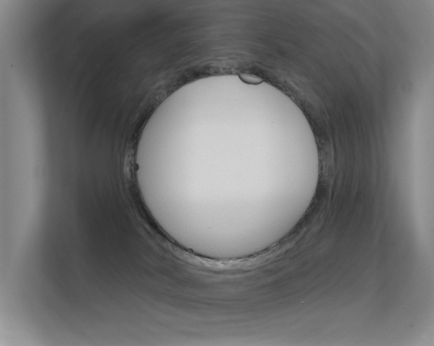 X0000112390038200908131353