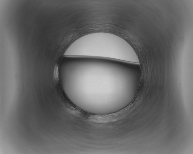 X0000112390041200908131353