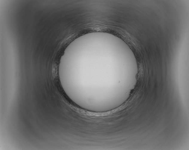 X0000112390043200908131353