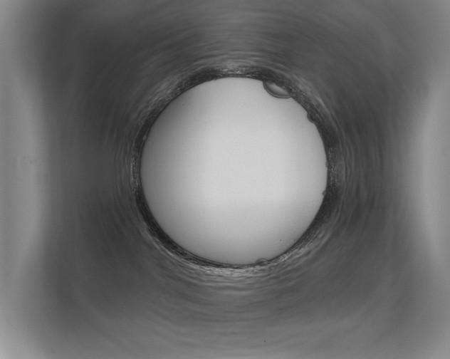 X0000112390044200908131353