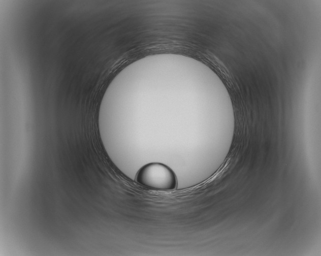 X0000112390045200908131353