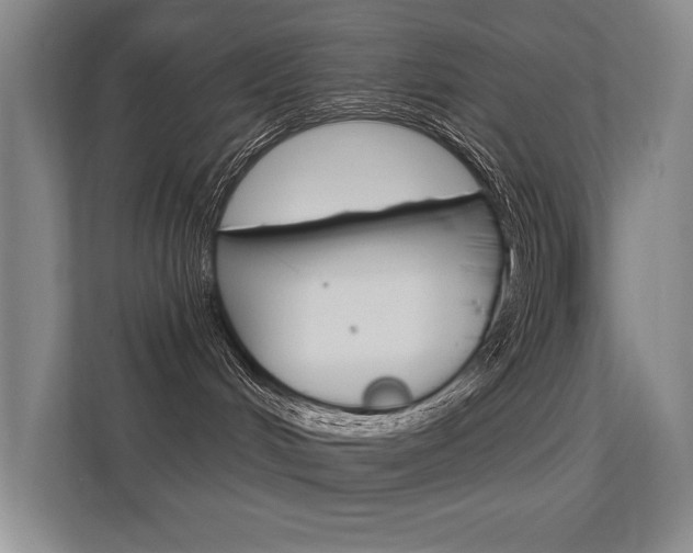 X0000112390048200908131352