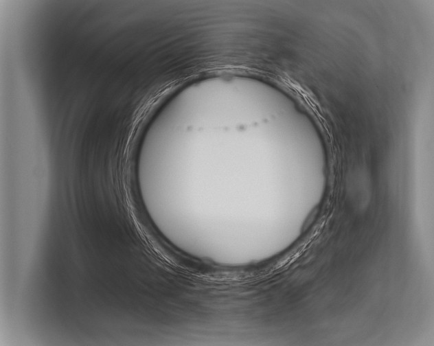 X0000112390049200908131352