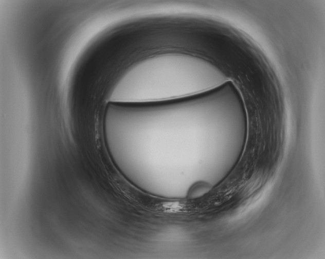 X0000112390050200908131352