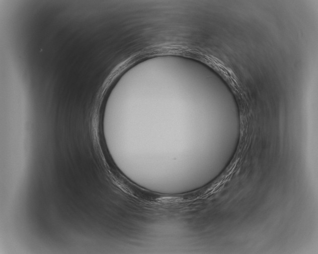 X0000112390051200908131352