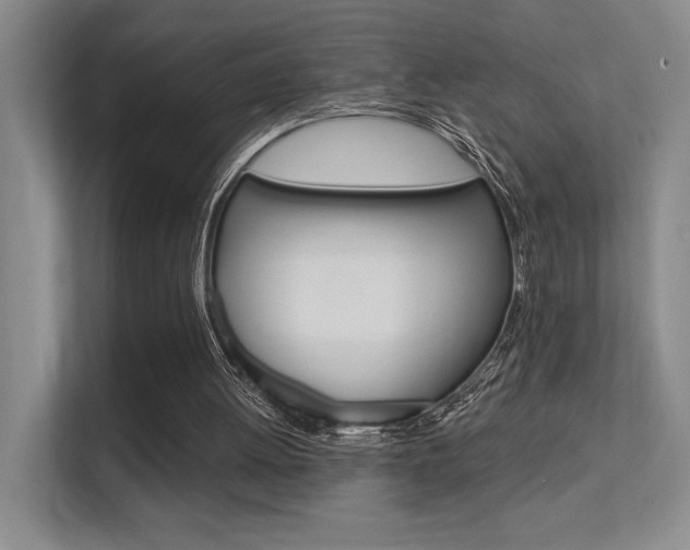 X0000112390052200908131352