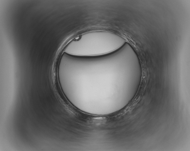 X0000112390053200908131352