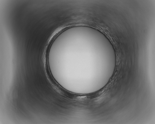 X0000112390054200908131352