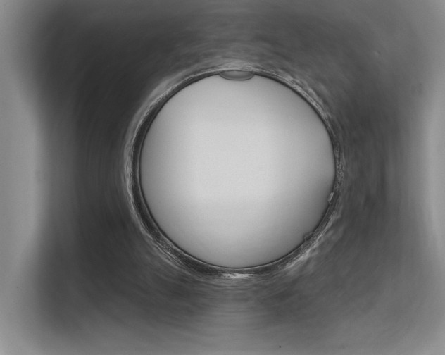 X0000112390055200908131352