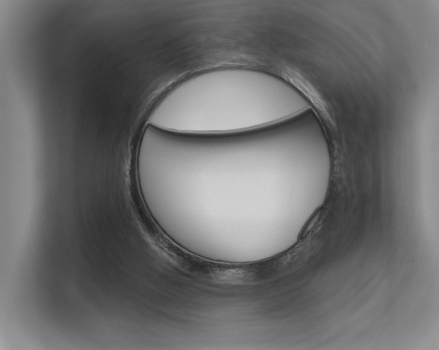 X0000112390058200908131352