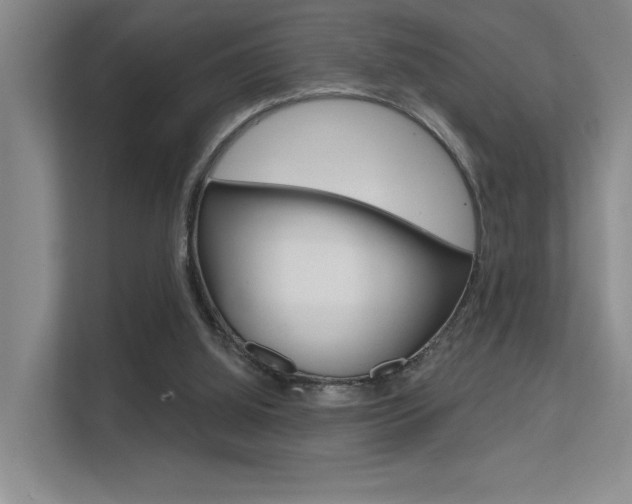 X0000112390060200908131352