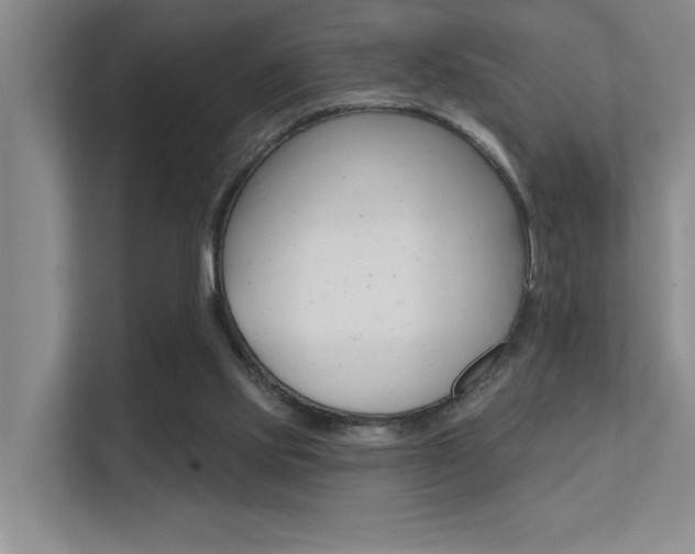 X0000112390061200908131352