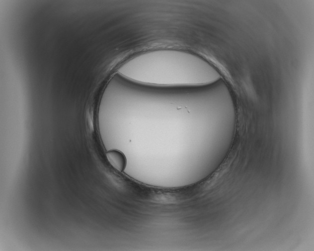 X0000112390062200908131352