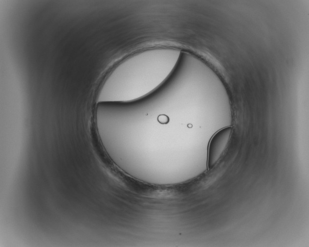 X0000112390063200908131352