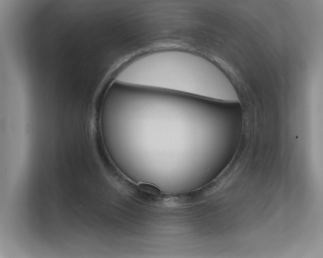 X0000112390064200908131352