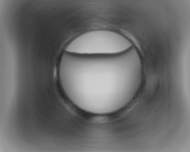 X0000112390067200908131352