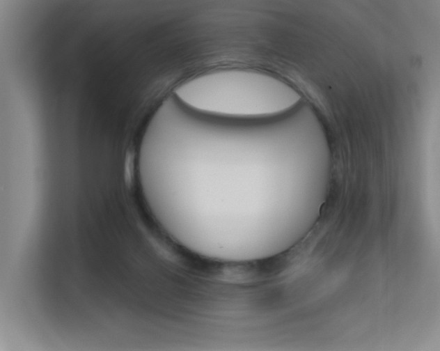 X0000112390070200908131352