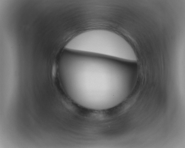 X0000112390076200908131352