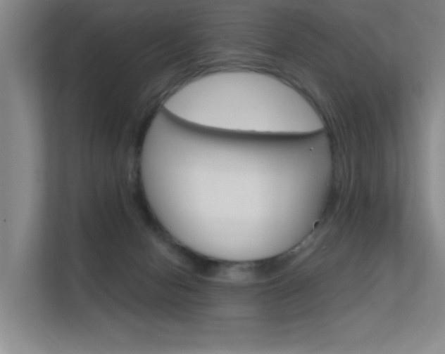 X0000112390078200908131352