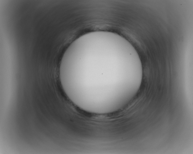 X0000112390079200908131352