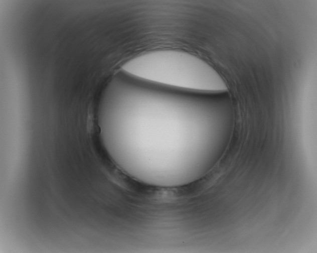 X0000112390080200908131352