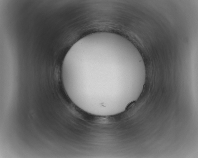 X0000112390083200908131352