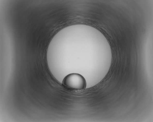 X0000112390088200908131352