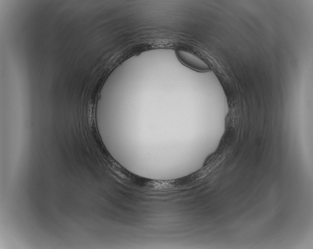 X0000112390093200908131352