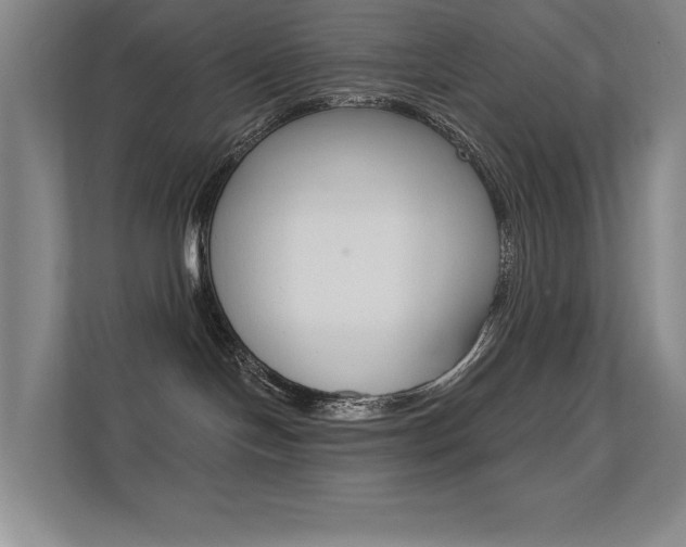 X0000112390094200908131352