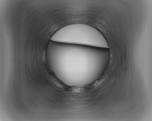 X0000112390096200908131352