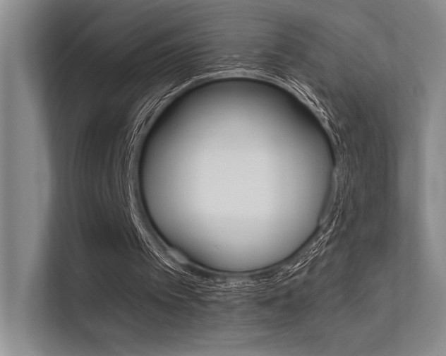 X0000112390097200908131352