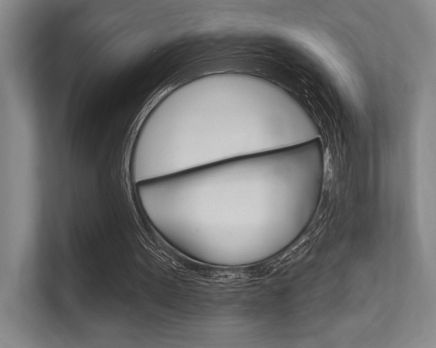 X0000112390099200908131352