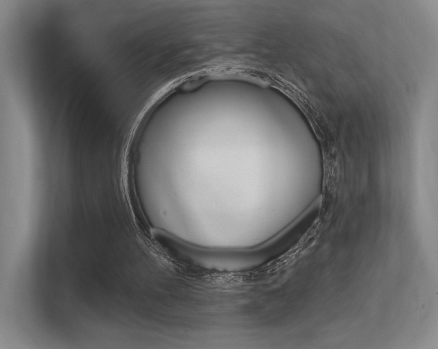 X0000112390100200908131352