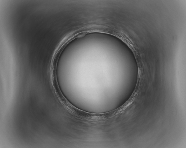 X0000112390101200908131352