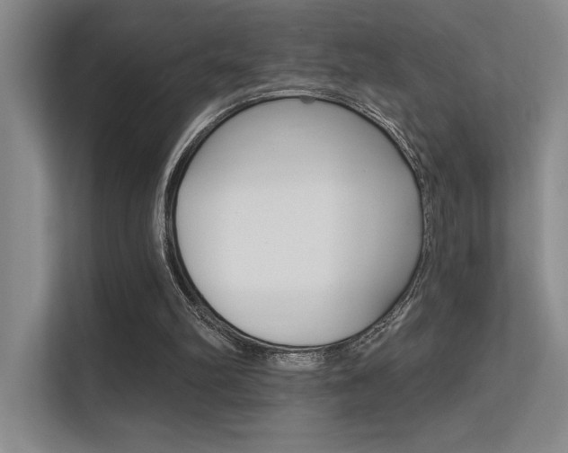 X0000112390102200908131352