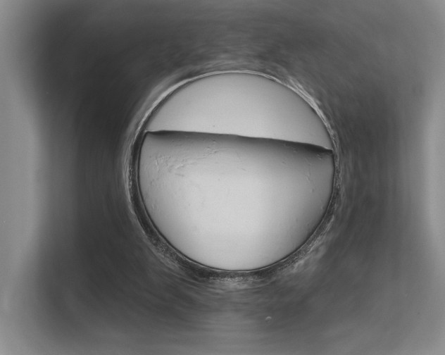 X0000112390103200908131352